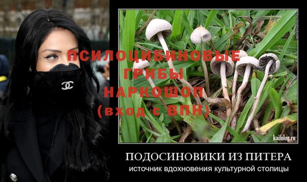 шишки Алексеевка