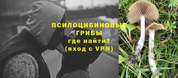 скорость Алзамай