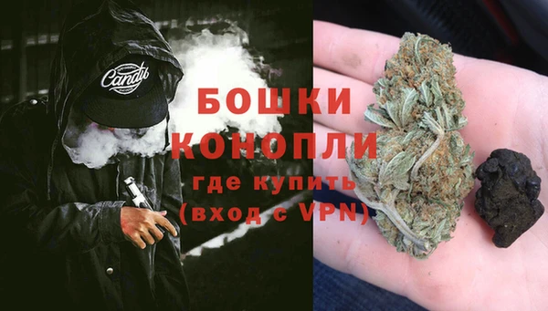 шишки Алексеевка