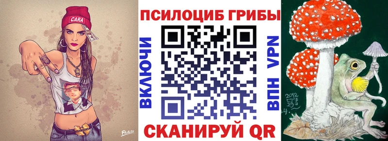 omg как войти Североуральск Галлюциногенные грибы Psilocybine cubensis цена наркотик